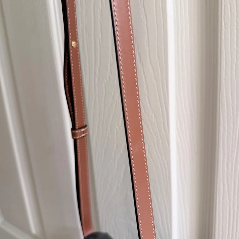 Celine Mini Triomphe - Picture 6 of 11